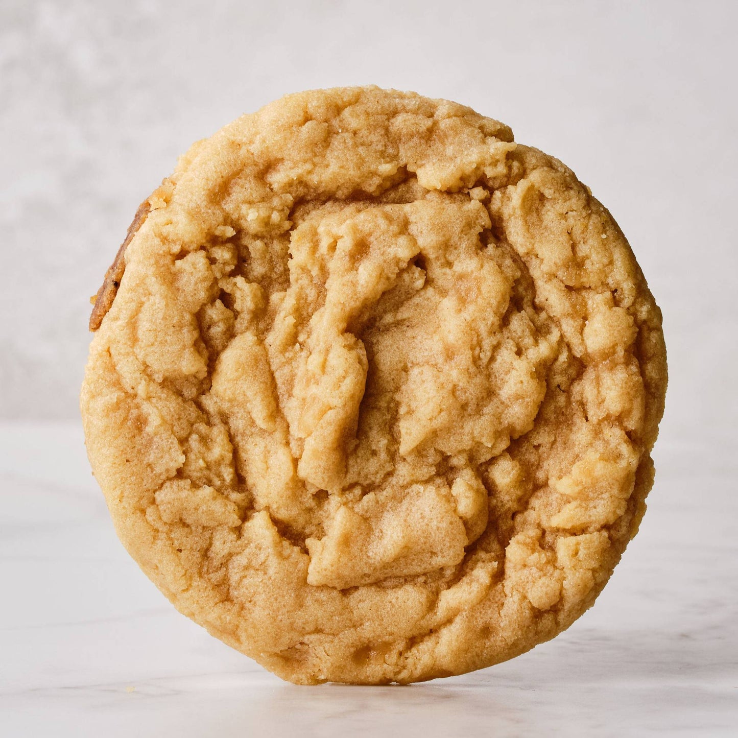 Sugar Cookie