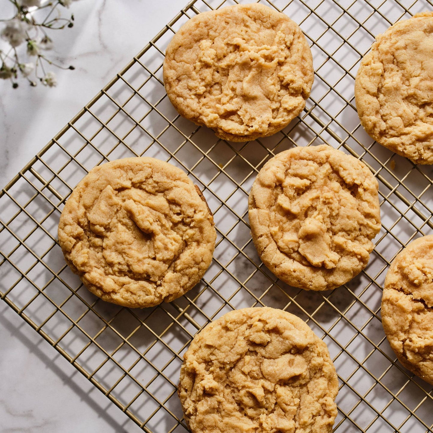 Sugar Cookie