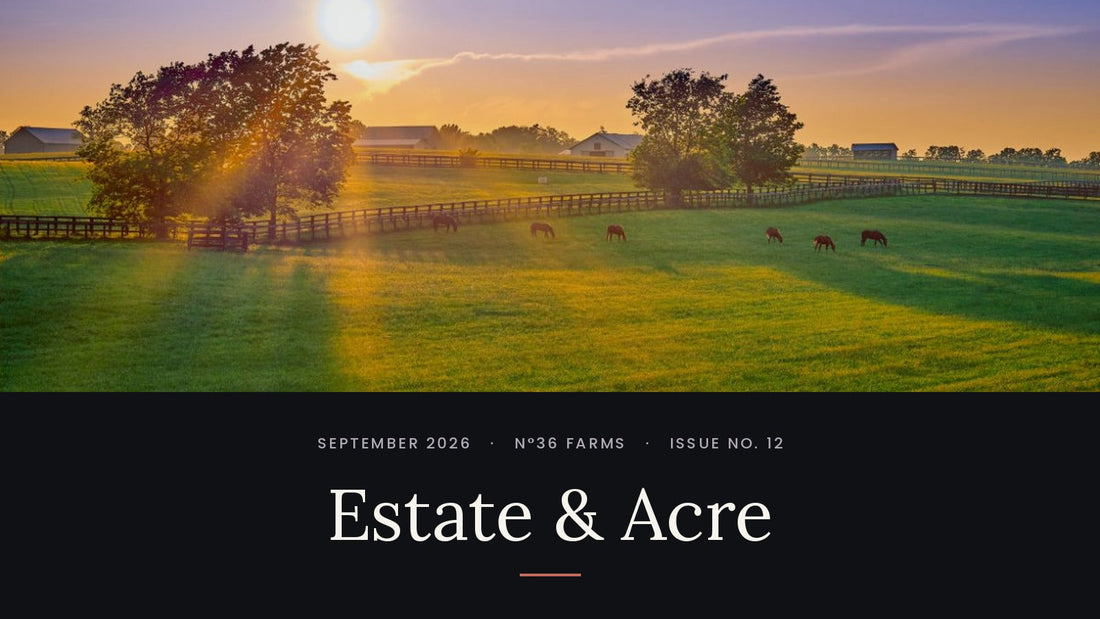 Estate & Acre, Issue No. 12