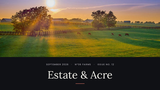 Estate & Acre, Issue No. 12
