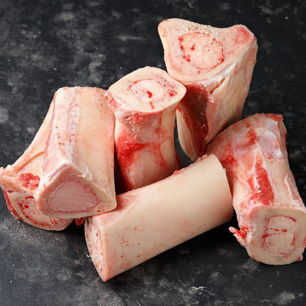 Bone Marrow