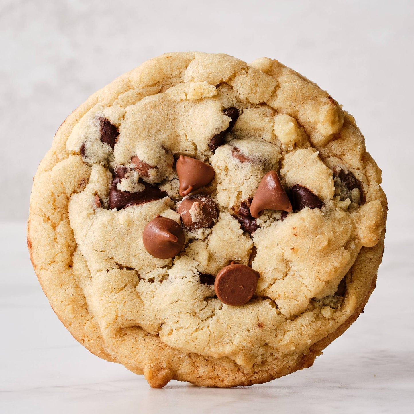 Chocolate Chip Cookie