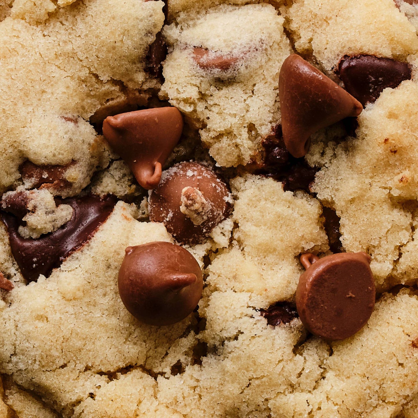 Chocolate Chip Cookie