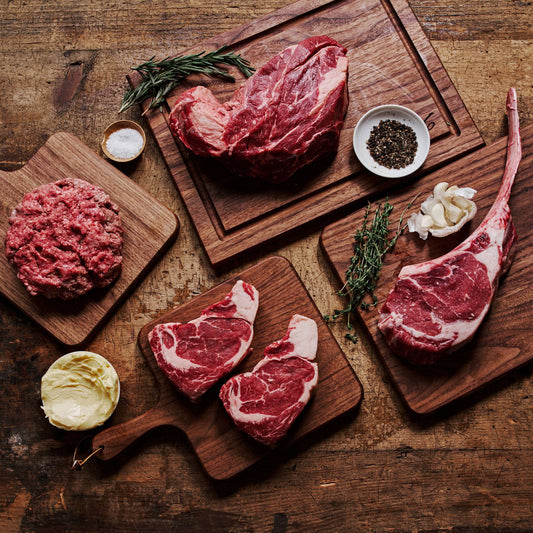 The Carnivore