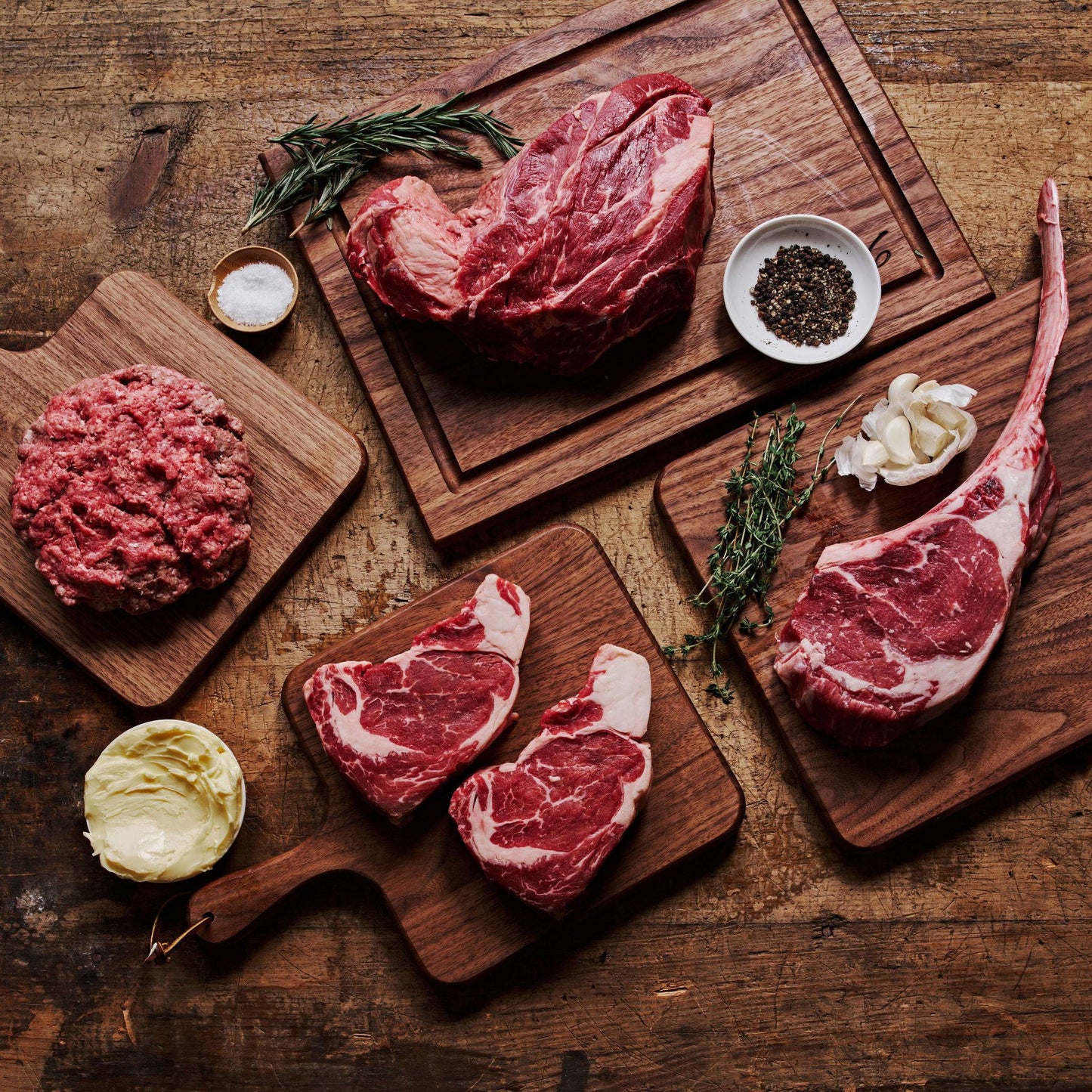 The Carnivore