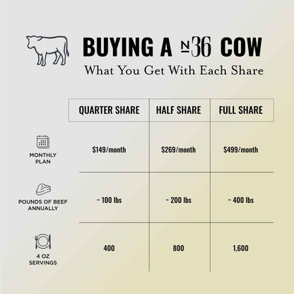 Chart detailing the cost and benefits of different share options for purchasing a cow, with a gradient background.