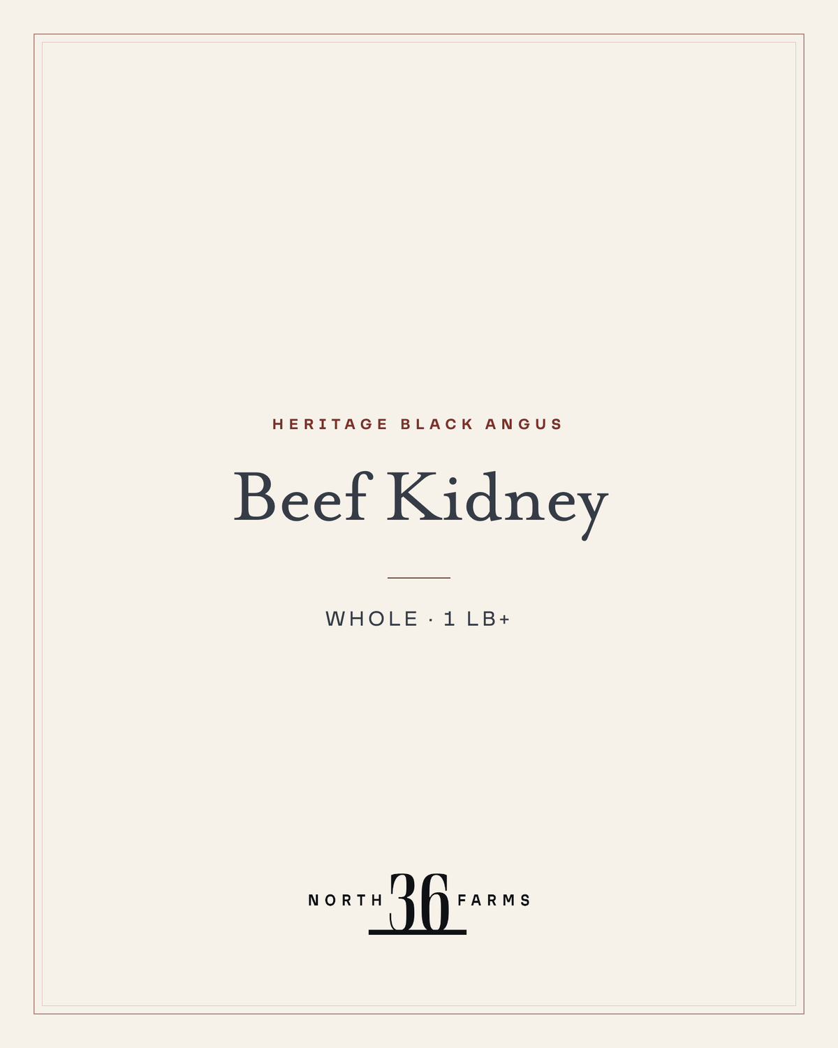 Beef Kidney